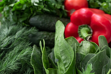 Autumn harvest. Greens and vegetables frame. to cook. Grocery background. Health food. Vegetarian. View from above. Place for text.