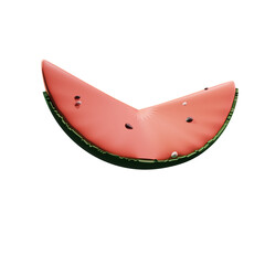 watermelon illustration