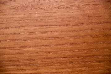 Wood background texture. Dark brown shade with a natural pattern.