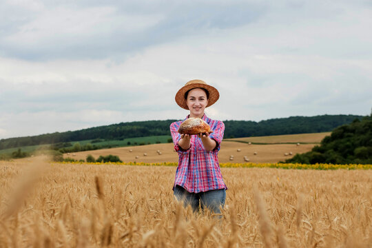 A woman farmer holds organic grain bread in her hands on the background of a wheat field. Bread is life