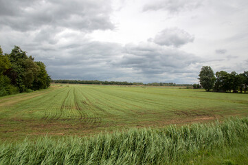 Farmland Around Naarden The Netherlands 1-7-2020