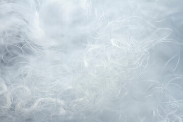 Fototapeta premium Extreme macro of polyester stable fiber