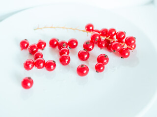 A bunch of red currants on a white background