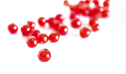 A bunch of red currants on a white background