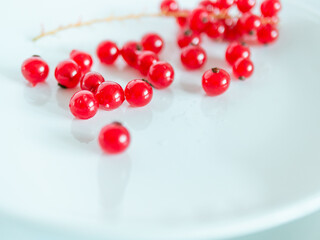 A bunch of red currants on a white background