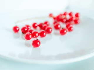 A bunch of red currants on a white background