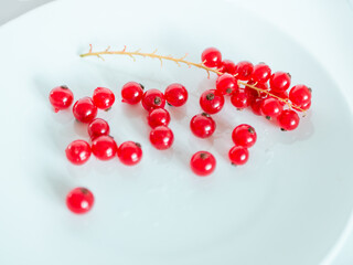 A bunch of red currants on a white background