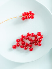 A bunch of red currants on a white background