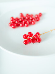 A bunch of red currants on a white background