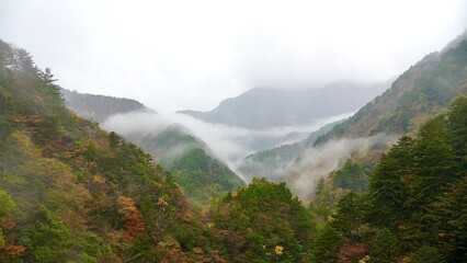 大井川鐵道あぷとラインから見える紅葉と霧