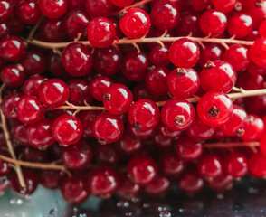 Group of red and wet currants in plastic container