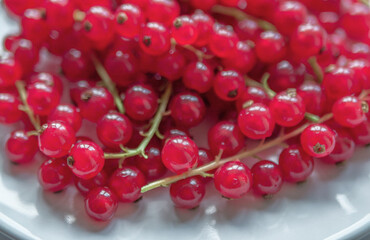Group of red and wet currants on a white background