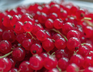 Group of red and wet currants on a white background