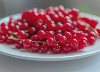Group of red and wet currants on a white background
