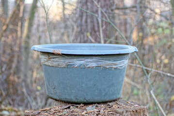 Fototapeta premium one large gray dirty old plastic basin stands on a stump in the street in nature