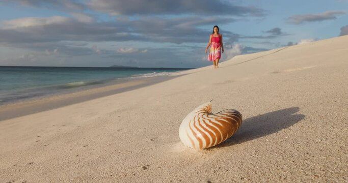 Woman walking on beach with beautiful Nautilus shell in foreground