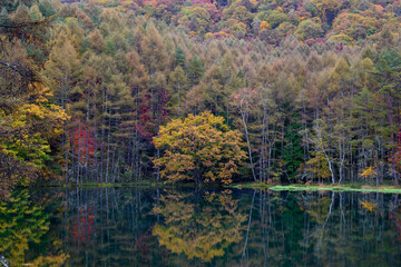 御射鹿池　紅葉