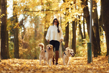In black sunglasses. Woman on the walk with her two dogs in the autumn forest