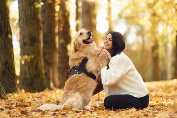 Animal is standing on the back legs. Woman is on the walk with her dog in the autumn forest at daytime
