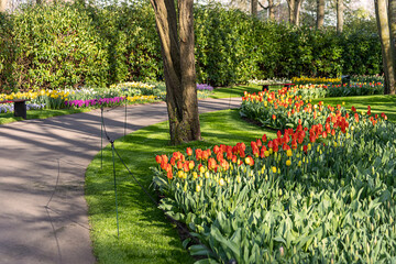 Plakat April 14, 2022 Lisse, The Netherlands. Beautiful public garden with blooming spring flowers. Popular tourist site.