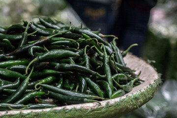 Chile verde