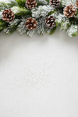 Christmas snowy fir tree branches, pine cone on white background. Xmas vertical greeting card....