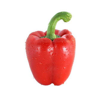 Red Fresh Bell Pepper, Paprika Isolated With Water Droplets On Transparent Background With PNG.