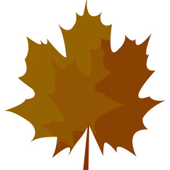 Maple leaf