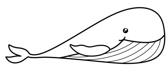 Whale Outline
