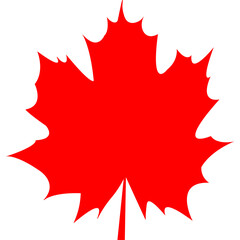 Maple leaf