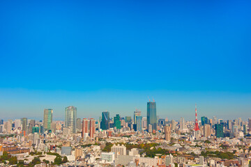 Fototapeta na wymiar Tokyo City Panorama View Japan