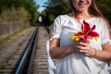 Fototapety na wymiar - Fototapeta24.pl