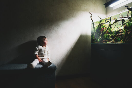 A small cute baby sits on a pouf in a dark room and looks at the beautiful freshwater aquascape with live aquarium plants, Frodo stones, redmoor roots covered by java moss.