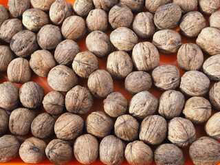 Background from fresh walnuts in the shell