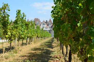 
Monbazillac (Dordogne - Nouvelle-Aquitaine - France)
	