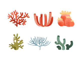 Colorful Coral as Marine Invertebrate from Ocean Bottom Vector Set