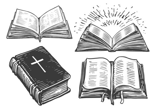 Book Clipart-open book 131