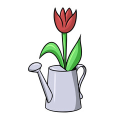 A red tulip stands in a metal watering can, vector cartoon