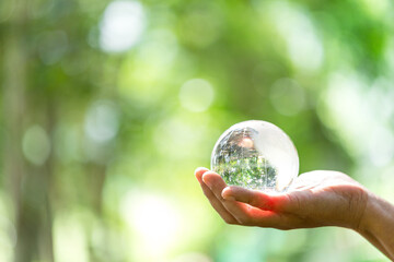Crystal ball used as a telling object. Nature park with trees in the background. hand for...
