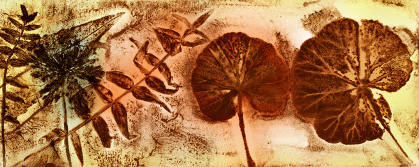 abstract art - monoprint - leaves and plants printed on paper - original artwork