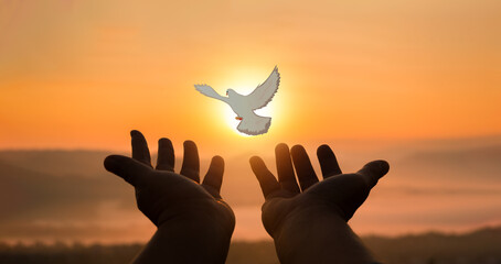Concept of worship in Christianity. Doves fly into man hands. Christians have faith in Holy Spirit....