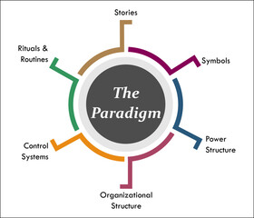 Six Steps of Paradigm in an Infographic template - obrazy, fototapety, plakaty