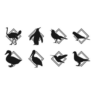 bird silhouette icon set