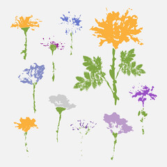 Collection of multicolored flower inprints.