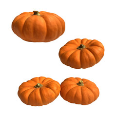 Mini yellow pumpkin vegetable set seasonal image for autumn holiday thanksgiving and halloween design isolated on the white background, clipping path