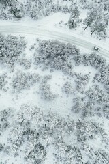 Drone point of view on forest road trees covered in snow, frozen winter landscape