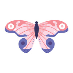 Pink Butterfly isolated on white. Flat vector eps. Detailed wings.