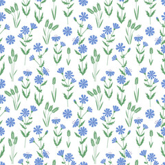 Seamless pattern with blue wild flowers seamless for wallpaper design. Chicory vector print. Seamless flower pattern.