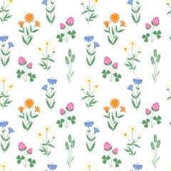Decorative textile seamless pattern. Wild meadow. Summer floral pattern.