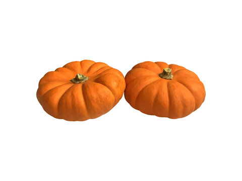 Mini yellow pumpkin vegetable set seasonal image for autumn holiday thanksgiving and halloween design isolated on the white background, clipping path